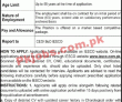 Iesco Jobs 2022 | Iesco Electric Power Supply Company Headquarters