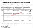 Jobs In Nayatel Fiber Networks