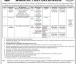 Nadra Jobs 2022 | National Database & Registration Authority Nadra
