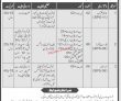 Jobs In Forest Sector