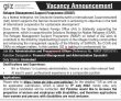 Jobs In Giz