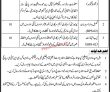 Jobs In Private Sector