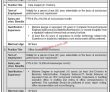 Hec Jobs 2022 | Higher Education Commission Hec Headquarters Announced