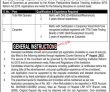 Jobs In Lady Reading Hospital Medical Teaching Institution Peshawar