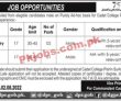 Jobs In Cadet College Pishin