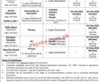 Nadra Jobs 2022 | National Database & Registration Authority Nadra