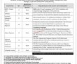 Jobs In Nicvd