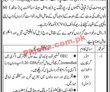 Jobs In Local Government Department Government Of Sindh