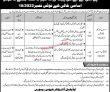 Jobs In Pakistan Civil Aviation Authority Pcaa