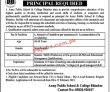 Latest Army Public School & College Aps&c Jobs 2023