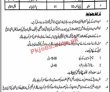 Afip Jobs 2022 | Armed Forces Institute Of Pathology Afip