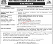 ASF Public School & College Faculty & Management PK Jobs
