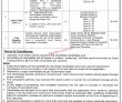 Agriculture Department Jobs 2022 | Directorate Of Crop Reporting Services