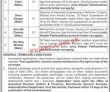 Airport Pk Jobs 2021 | Airport Center Of Aviation Department