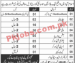 All Private Jobs Advertisements 26/04/2021 (Monday)