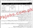 Army Pk Jobs 2021 | Armed Forces Inspectorate Announced Latest