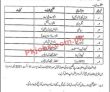 Army Public School & College Announced Management Pk Jobs 2021