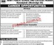 Army Public School & College Head Office Announced Latest Advertisement