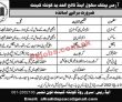 Army Public School & College PK Jobs 2021