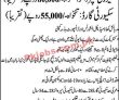 Askari Guards Pk Jobs 2021 | Askari Guard Company Headquarters