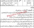 Assistant Commissioner Office Announced Management Pk Jobs 2021