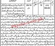 Assistant Commissioner Office Revenue Department Headquarters Announced Latest Management Jobs