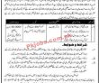 Bise Pk Jobs 2021 | Board Of Intermediate & Secondary
