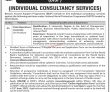 Bisp Jobs 2022 | Benazir Income Support Programme Bisp Head Office