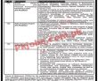 Bisp Jobs 2022 | Benazir Income Support Programme Bisp Headquarters