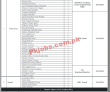 Bisp Pk Jobs 2021 | Benazir Income Support Programme Announced