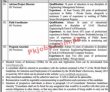 Bisp Pk Jobs 2021 | Benazir Income Support Programme Bisp