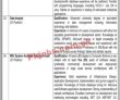 Bisp Pk Jobs 2021 | Benazir Income Support Programme Bisp