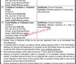 Bisp Pk Jobs 2021 | Benazir Income Support Programme Bisp