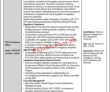 Bop Jobs 2022 | The Bank Of Punjab Bop Headquarters