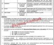 Bzu Pk Jobs 2021 | Bahauddin Zakariya University Announced Management