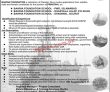 Bahria Foundation Announced Latest Management Pk Jobs 2021