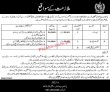 Bait Ul Mal Pk Jobs 2021 | Pakistan Bait Ul