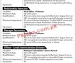 Banking Pk Jobs 2021 | The Bank Of Khyber Head