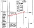 Benazir Bhutto Shaheed University of Technology PK Jobs 2021