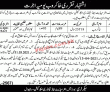 Board of Intermediate & Secondary Education (BISE) PK Jobs 2021