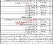 Board of Revenue Management PK Jobs 2021