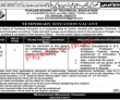 Board of Technical Education Management PK Jobs 2021