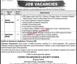 Cass Pk Jobs 2021 | Centre For Aerospace & Security