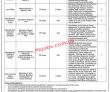 Ccop Jobs 2022 | Competition Commission Of Pakistan Headquarters Announced