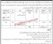 Cda Pk Jobs 2021 | Capital Development Authority Human Resource