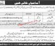 CHIP Training & Consulting Announced Management PK Jobs 2021