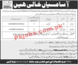 CHIP Training & Consulting NGO Management PK Jobs 2021