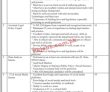 Cm Office Jobs 2022 | Chief Minister’s Secretariat Head Office