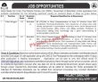 Cm Office Pk Jobs 2021 | Chief Minister Media Secretariat