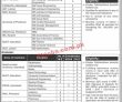 Cm Office Pk Jobs 2021 | Chief Minister’s Education Endowment